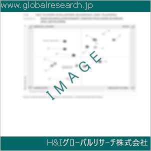グローバルリサーチ調査資料のイメージ